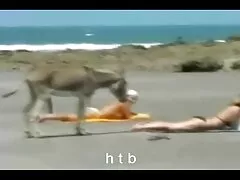 BRAZZERS Urut Sensual meningkat awek comey menjadi Bertiga
